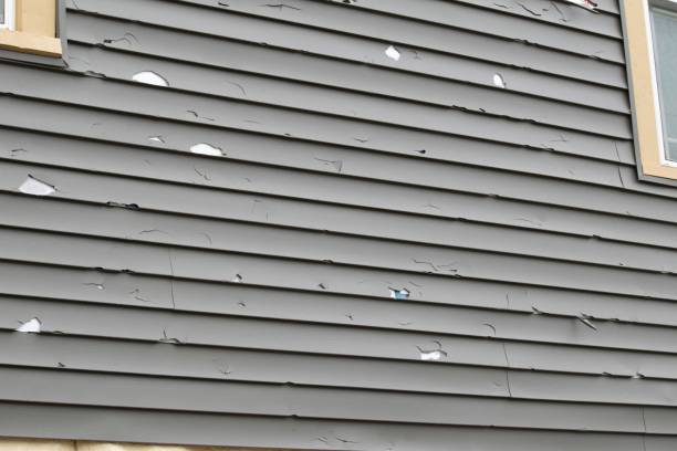 Best Wood Siding Installation  in Fruitport, MI