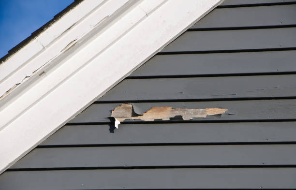 Best Siding for New Construction  in Fruitport, MI